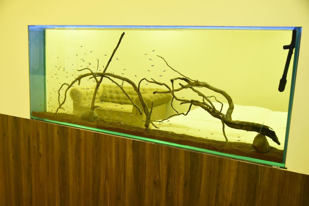Fundera Aqua Stay Yelagiri Dış mekan fotoğraf