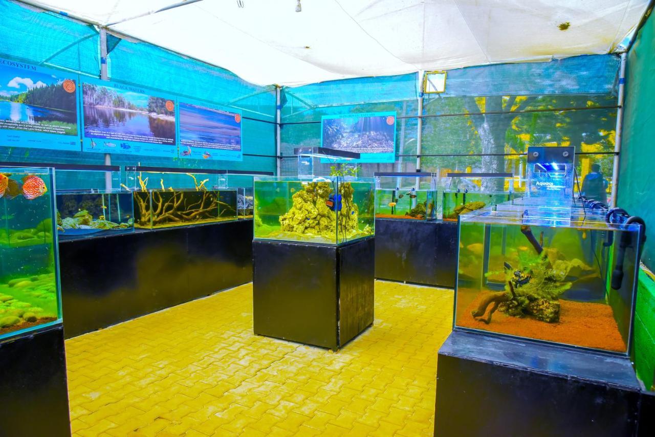 Fundera Aqua Stay Yelagiri Dış mekan fotoğraf