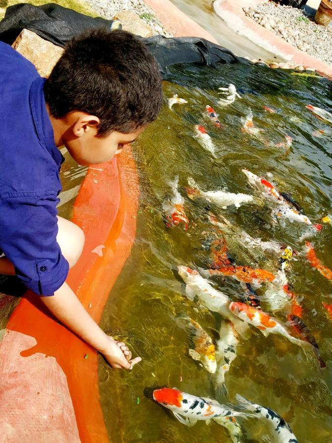 Fundera Aqua Stay Yelagiri Dış mekan fotoğraf